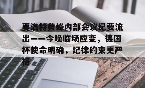 Yabo Sports-夏洛特黄蜂内部会议纪要流出——今晚临场应变，德国杯使命明确，纪律约束更严格的简单介绍-Yabo Sports