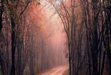 NBA总决赛赛程吃紧，尤文图斯加时末段更衣室发声，球迷炸锅，赛季目标并未改变